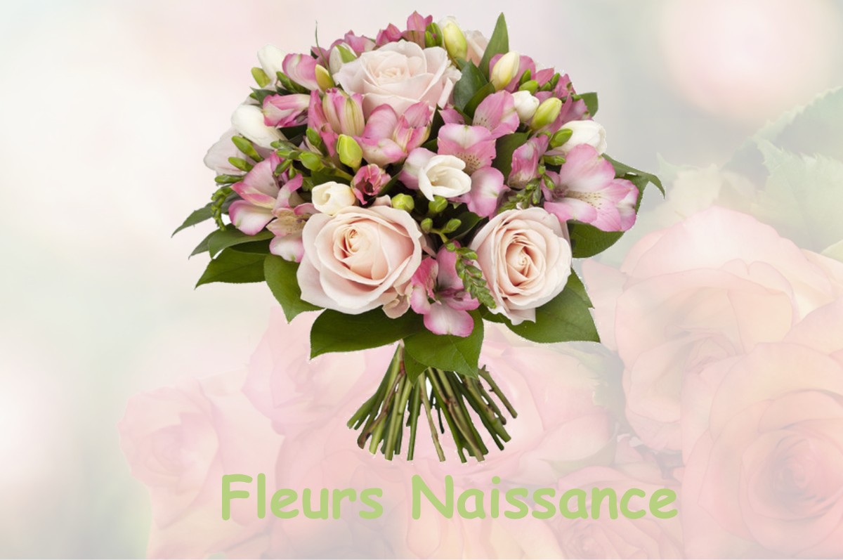fleurs naissance LANCHES-SAINT-HILAIRE