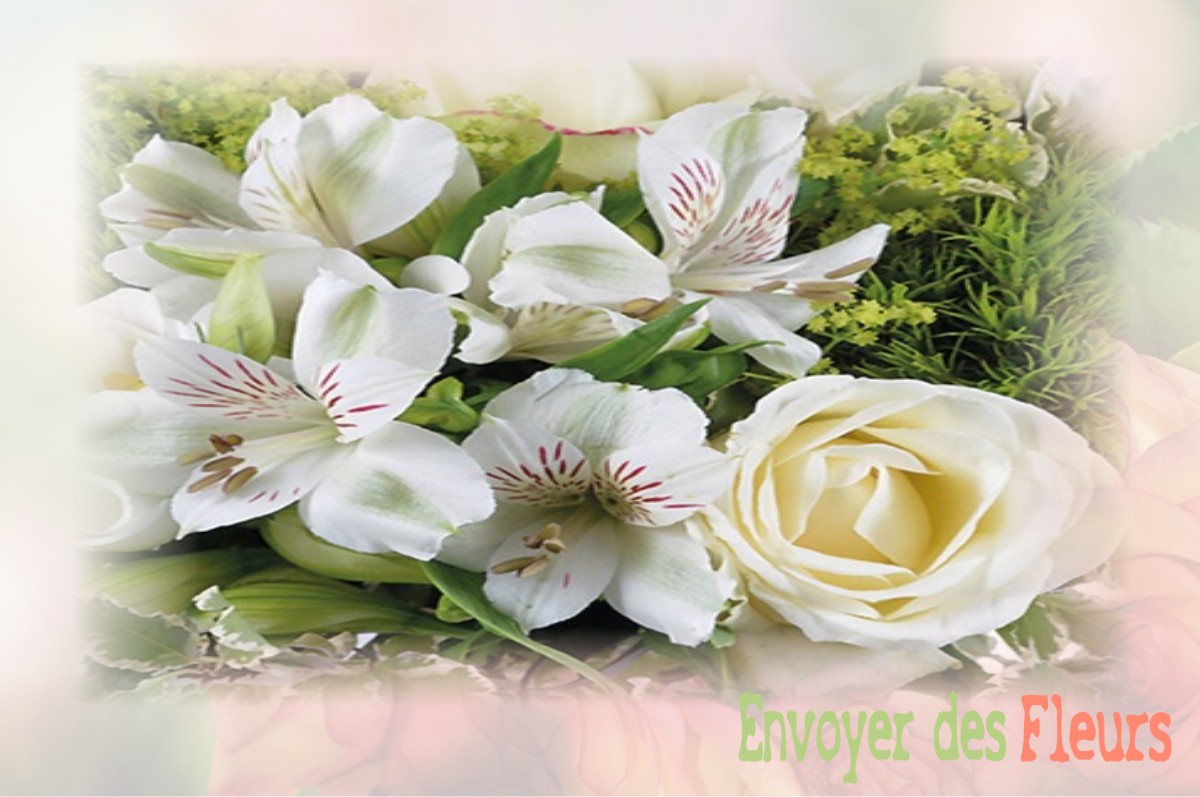 envoyer des fleurs à à LANCHES-SAINT-HILAIRE