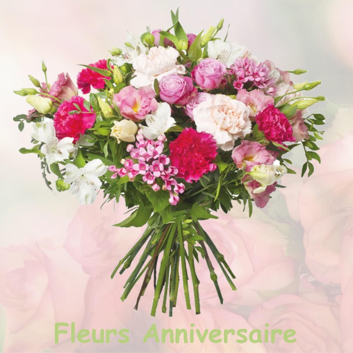 fleurs anniversaire LANCHES-SAINT-HILAIRE